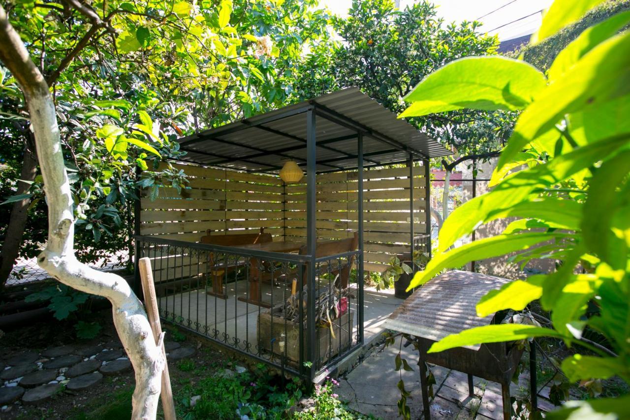 غاغرا Guest House Lavr المظهر الخارجي الصورة