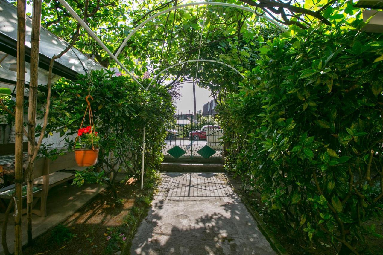 غاغرا Guest House Lavr المظهر الخارجي الصورة
